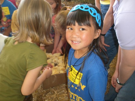 Kasen with chicks at Farm City Day